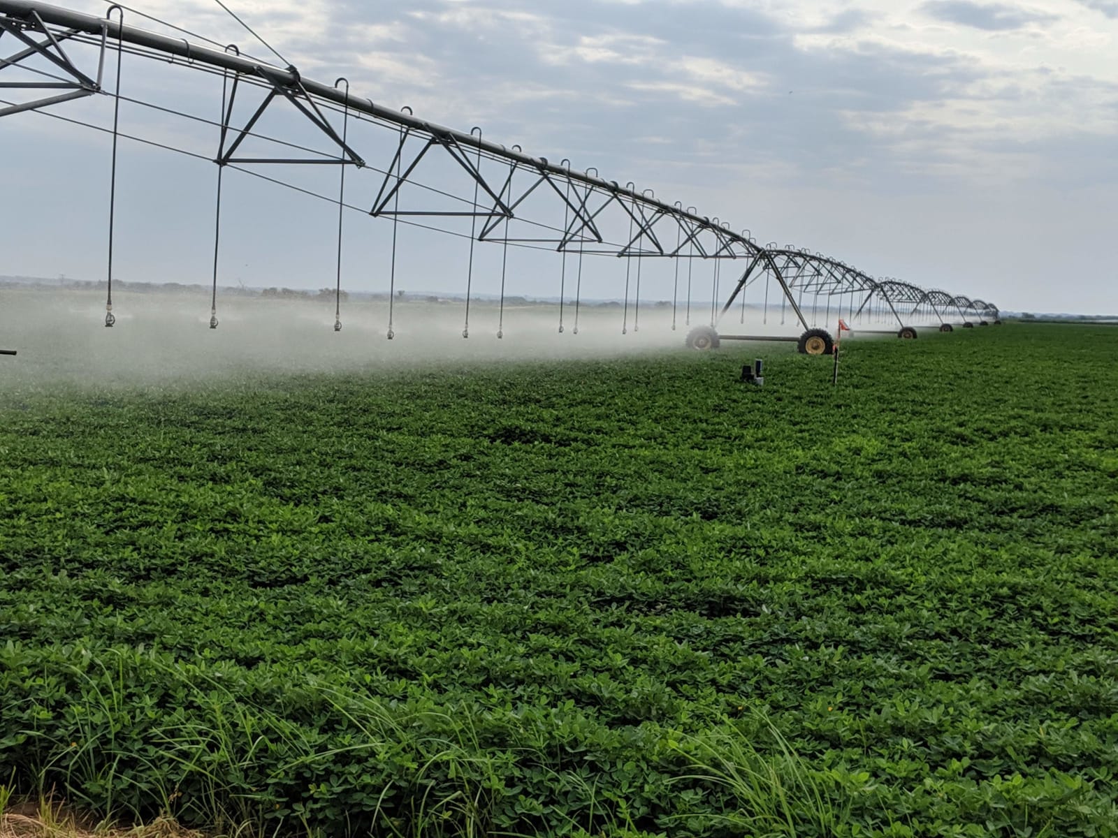 Center-pivot irrigation, cotton