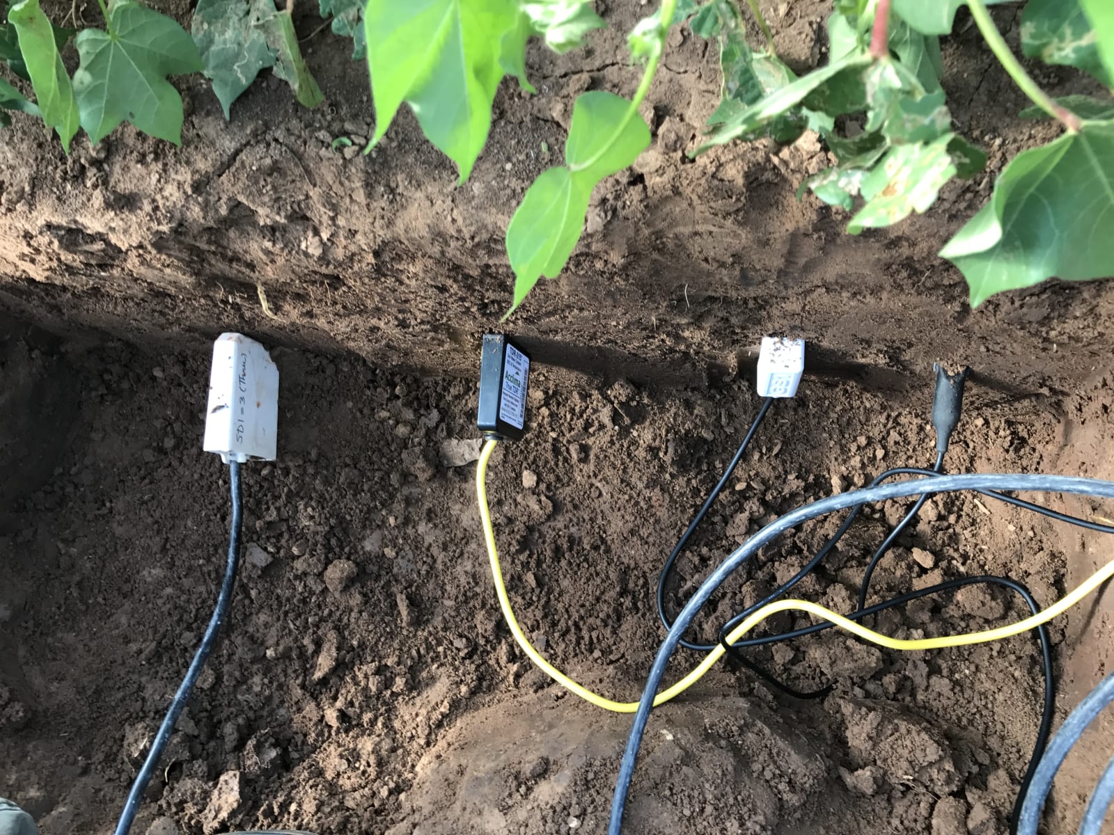 Soil-moisture sensors in the field
