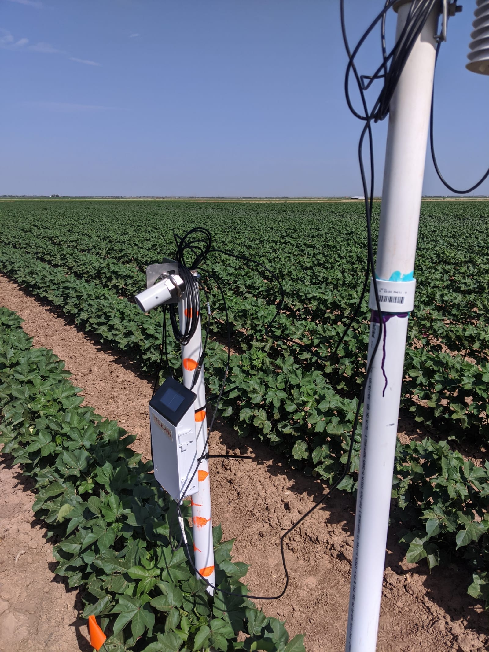 Adjusting infrared thermometers for canopy temperature